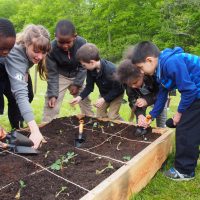 School Gardens Help Students Grow, in all the Best Ways