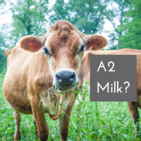 What’s A2 Milk?